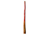 Tristan O'Meara Didgeridoo (TM450)